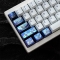 1U Ice Crystal Anodizing Color Ti-alloy Artisan Keycaps Precision Pointillism for Mechanical Keyboard -Starry Night Cat